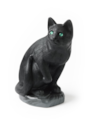 01cat_foto